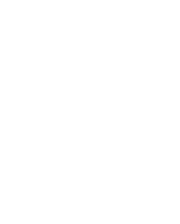 Cyber-Schutz