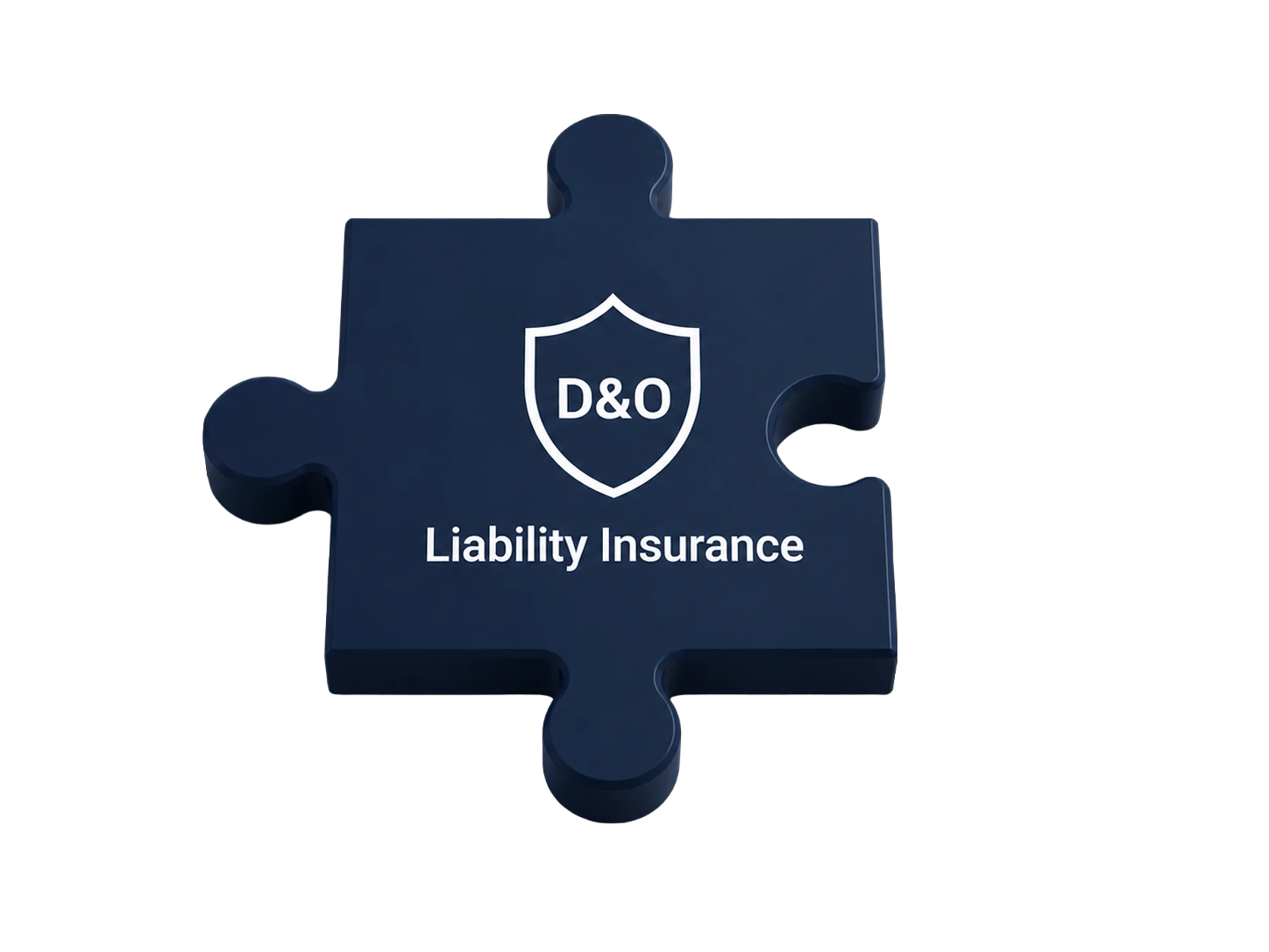 D&O Liability Insurance Puzzle